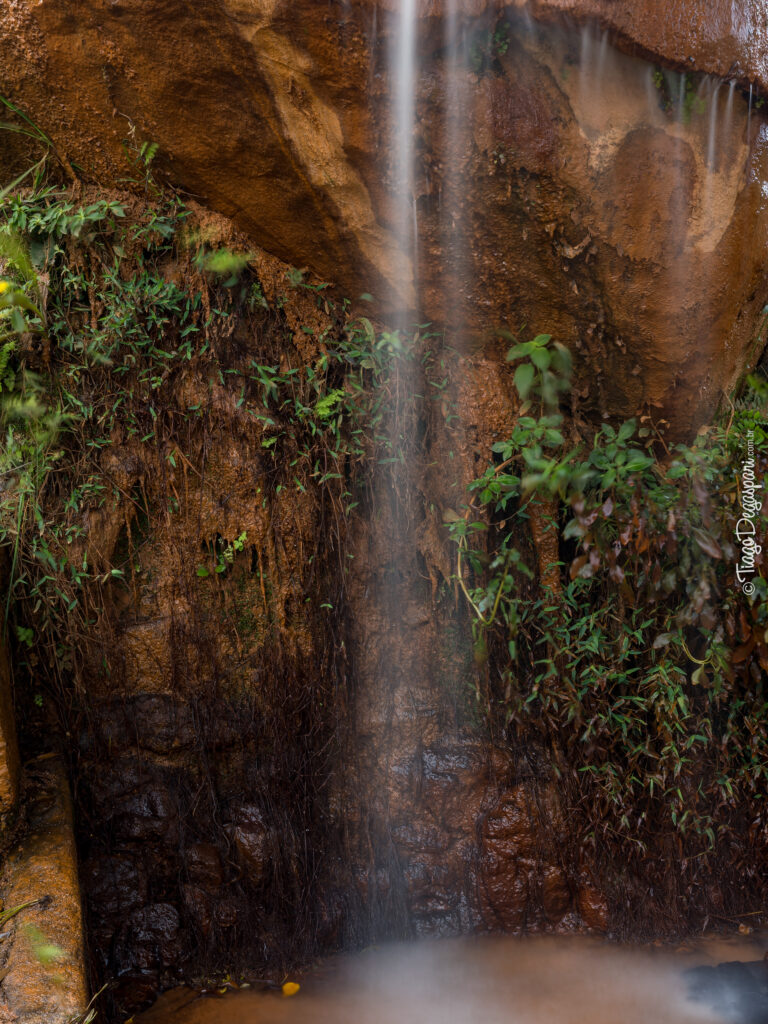 2025 05 t5124024 orf tiagod web baixa